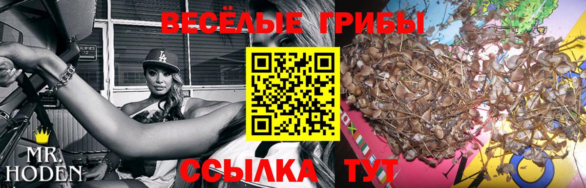 Псилоцибиновые грибы Magic Shrooms Тихвин
