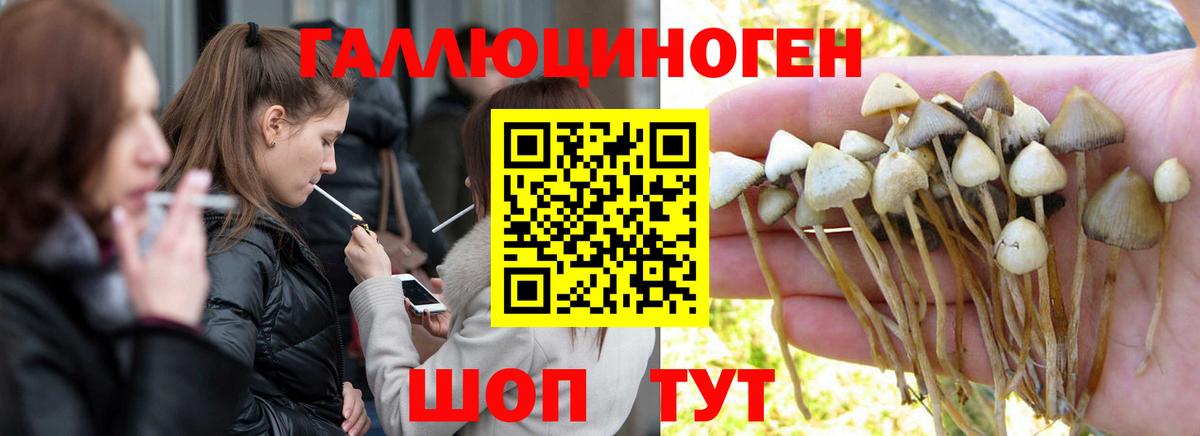 Псилоцибиновые грибы мицелий  Вход с VPN  Тихвин 